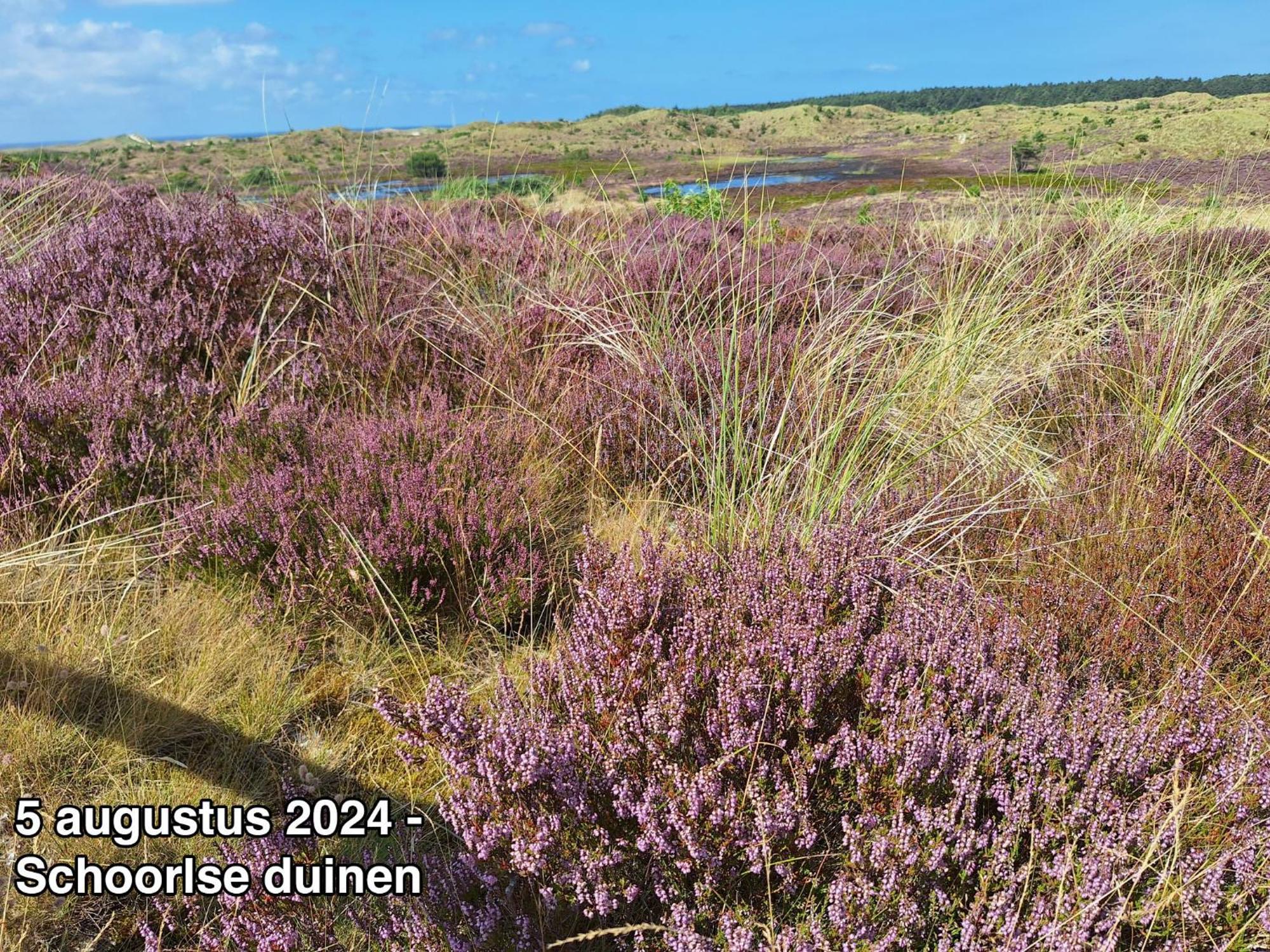 Groot Marquette - Noord Holland Aan Uw Voeten Warmenhuizen Exterior foto